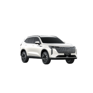 Haval H6 PHEV19