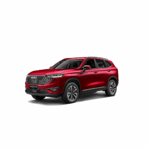 Haval H6 PHEV19